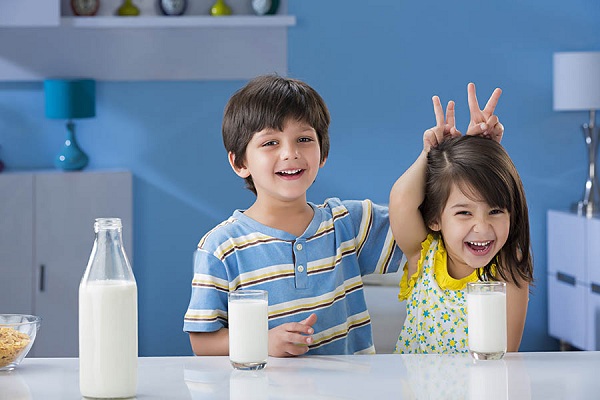 Nutrition In Milk Production